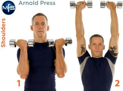 What’s an Arnold Press?