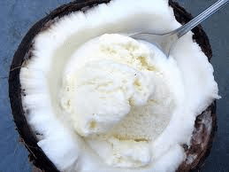 Healthy Vanilla Coconut Ice Cream